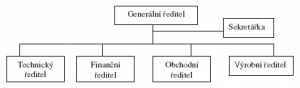 Funkcionální organizační struktura podniku