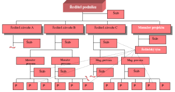 Maticová organizační struktura firmy